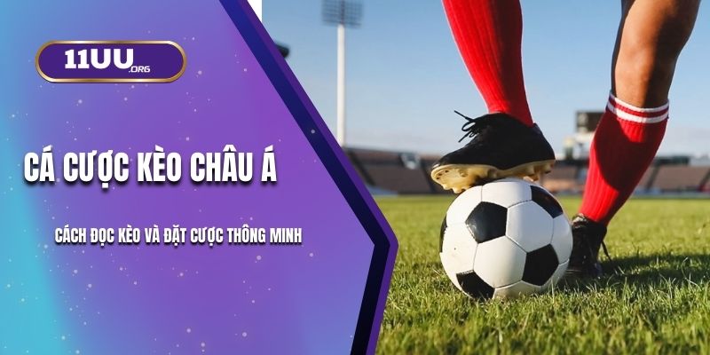 Cá Cược Kèo Châu Á 11UU: Cách Đọc Kèo Và Đặt Cược Thông Minh