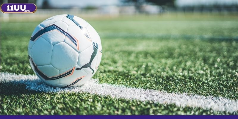 Cách đọc cá cược kèo châu Á đơn giản