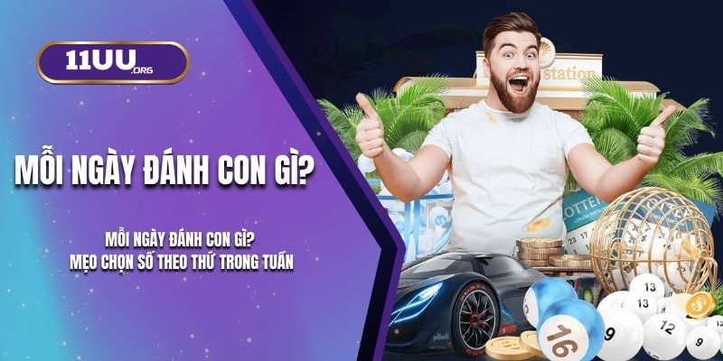 Mỗi Ngày Đánh Con Gì Ở 11UU? Mẹo Chọn Số Theo Thứ Trong Tuần
